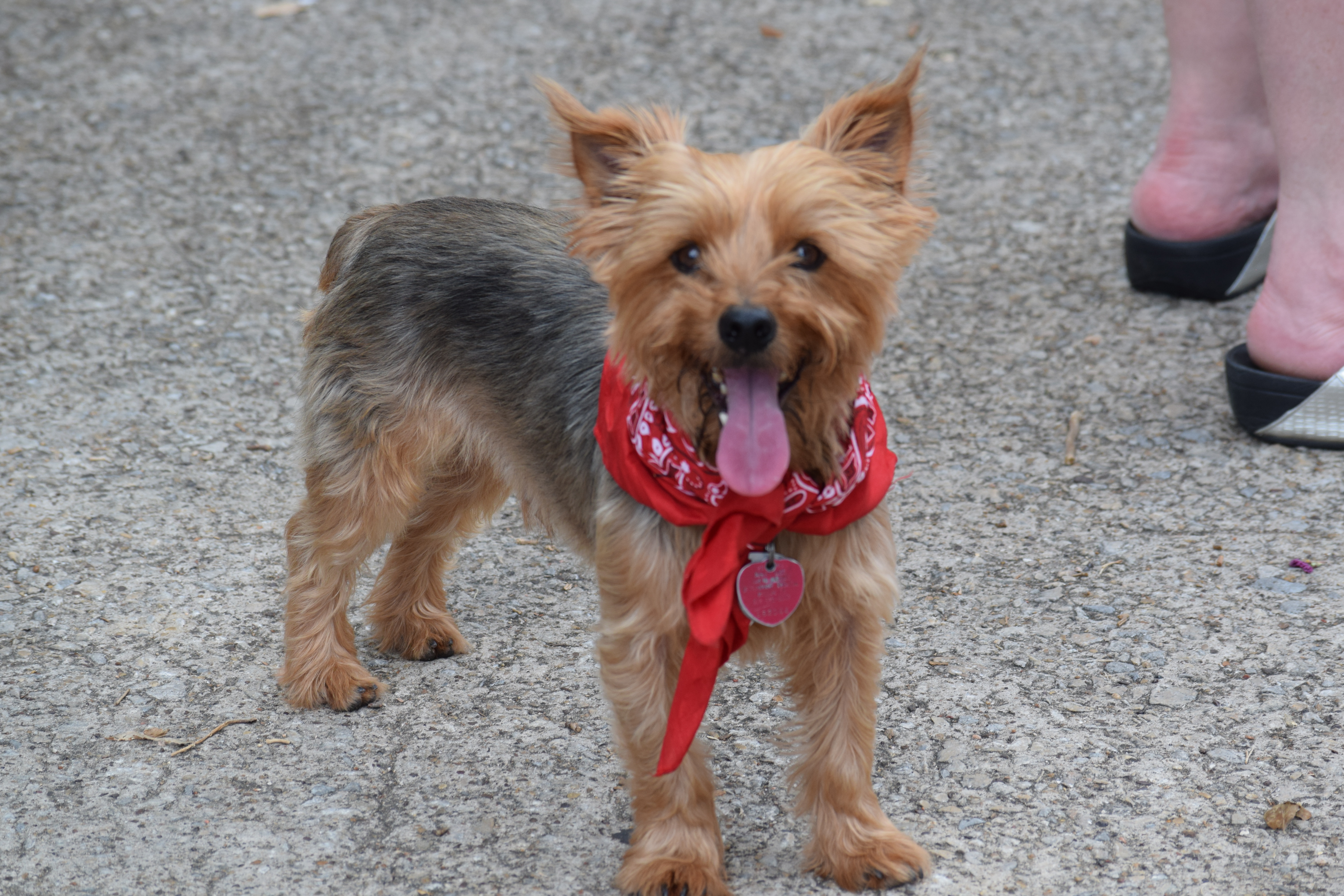 2019 07 04_WHHA July 2019_5341